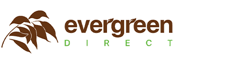 evergreen direct